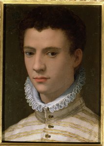 Retrato de um jovem (óleo em cobre)